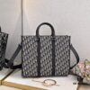 6930984e6e68136f4d9aa819 Luxury Original Oblique Fabric East-West Handbag