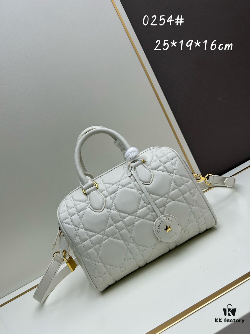 693098806e68136f4d9aa87b Dior Groove 25 Handbag from the Fall-Winter 2024 Ready-to-Wear Collection