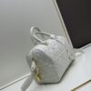 693098806e68136f4d9aa87c Dior Groove 25 Handbag from the Fall-Winter 2024 Ready-to-Wear Collection