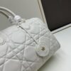 693098816e68136f4d9aa87e Dior Groove 25 Handbag from the Fall-Winter 2024 Ready-to-Wear Collection