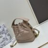 Dior 24 New Arrival Jolie Bucket Bag with Box