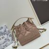 Dior 24 New Arrival Jolie Bucket Bag with Box