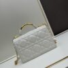Large Dior 💛r Ange Handbag