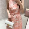 Small Dior Ange Handbag