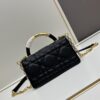 Small Dior Ange Handbag