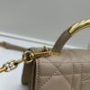Small Dior Ange Handbag