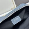 Dior Gray Grain Calfskin Camera Bag ||| Ready Stock
