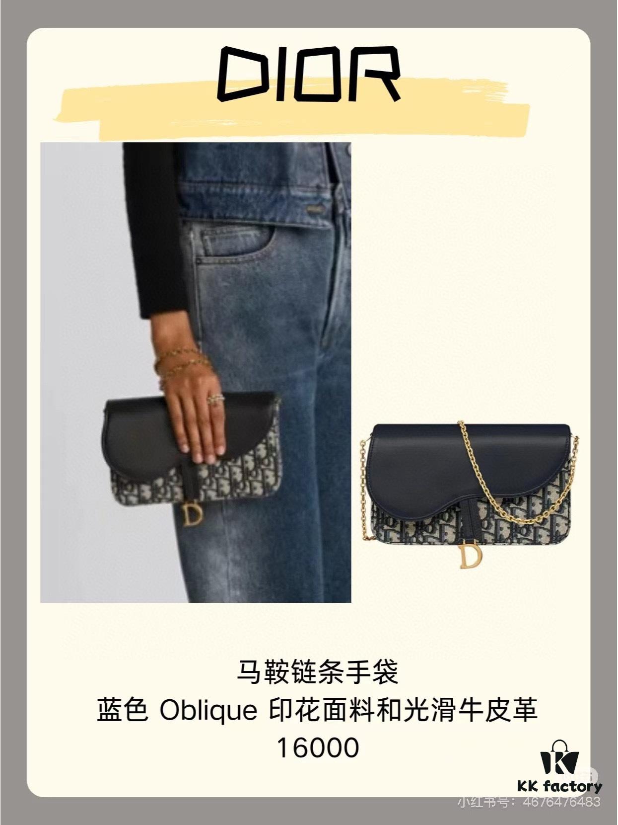Dior Saddle Bag with Box, Shoulder Chain Bag
