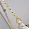 Embossed Diorstar Hobo Chain Bag