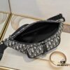 693099156e68136f4d9aa9a1 Top Original Dior Waist Bag – Black and Beige Oblique Print, 2025 Spring Collection