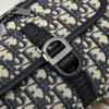 693099156e68136f4d9aa9a3 Top Original Dior Waist Bag – Black and Beige Oblique Print, 2025 Spring Collection