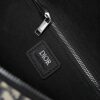 693099166e68136f4d9aa9a6 Top Original Dior Waist Bag – Black and Beige Oblique Print, 2025 Spring Collection