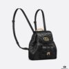 693099206e68136f4d9aa9b8 Dior Caro Small Backpack