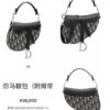 693099256e68136f4d9aa9c1 Large Size with Blue, Box Included Dior New Model Silver Buckle SADDLE Bag