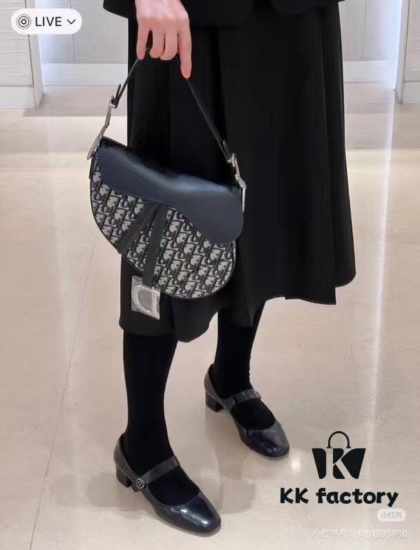 693099256e68136f4d9aa9c2 Large Size with Blue, Box Included Dior New Model Silver Buckle SADDLE Bag