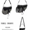 6930992e6e68136f4d9aa9d0 Large Size with Blue, Box Included Dior New Model Silver Buckle SADDLE Bag