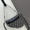 693099306e68136f4d9aa9d8 Large Size with Blue, Box Included Dior New Model Silver Buckle SADDLE Bag