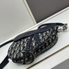 693099366e68136f4d9aa9df Large Size with Blue, Box Included Dior New Model Silver Buckle SADDLE Bag