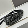6930993b6e68136f4d9aa9e8 Small Size with Blue, Comes with Box Dior New Silver Buckle SADDLE Bag