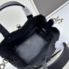 Small Dior Toujours Bag