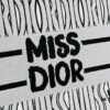 Embroidered Large [Dior Book Tote] Original Order