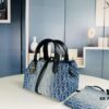Small Dior Toujours Bag