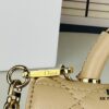 693099a56e68136f4d9aaaad Small Dior Dior Ange Handbag