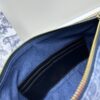 New Diorstar Hobo Chain Bag – Spring/Summer 2024 Collection