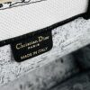 Embroidered Large [Di0r Book Tote]