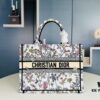 Embroidered Medium [Dior Book Tote]