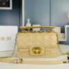 Dior Jolie Tote Bag Large Size (with Box) – New Arrival from Dior's Spring/Summer 2024 Ready-to-Wear Collection