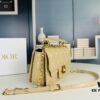 Dior Jolie Tote Bag Large Size (with Box) – New Arrival from Dior's Spring/Summer 2024 Ready-to-Wear Collection
