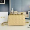 Dior Jolie Tote Bag Large Size (with Box) – New Arrival from Dior's Spring/Summer 2024 Ready-to-Wear Collection