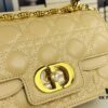 Dior Jolie Tote Bag Large Size (with Box) – New Arrival from Dior's Spring/Summer 2024 Ready-to-Wear Collection