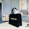 Embroidered Medium [Dior Book Tote]
