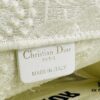Embroidered Large [Dior Book Tote] Original Order