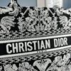 Embroidered Medium [Di0r Book Tote]