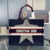 Embroidered Medium [Dior Book Tote]