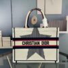 Embroidered Medium [Di0r Book Tote]