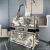 Embroidered Large Size [Di0r Book Tote]