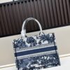 Authentic Dior Book Tote, Large and Medium Size, [Di0r Book Tote]