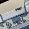 Authentic Dior Book Tote, Large and Medium Size