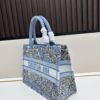 69309ca16e68136f4d9ab08d Authentic Dior Book Tote, Large and Medium Size