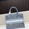 69309ca26e68136f4d9ab08e Authentic Dior Book Tote, Large and Medium Size