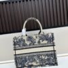 69309ca66e68136f4d9ab096 Authentic Dior Book Tote, Large and Medium Size