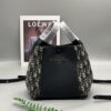 69309cf86e68136f4d9ab12c New Dior Signature Printed Bucket Bag