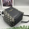69309cf96e68136f4d9ab12d New Dior Signature Printed Bucket Bag
