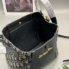 69309cf96e68136f4d9ab130 New Dior Signature Printed Bucket Bag