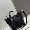 69309db76e68136f4d9ab256 Medium and Small Dior Toujours Vertical Handbag in Carmine Beige Calfskin with Large Quilting
