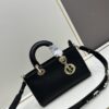 69309e3d6e68136f4d9ab333 Lady D-Sire My ABCDior Large and Small Handbag in Blush Beige Crushed Grain Calfskin Leather